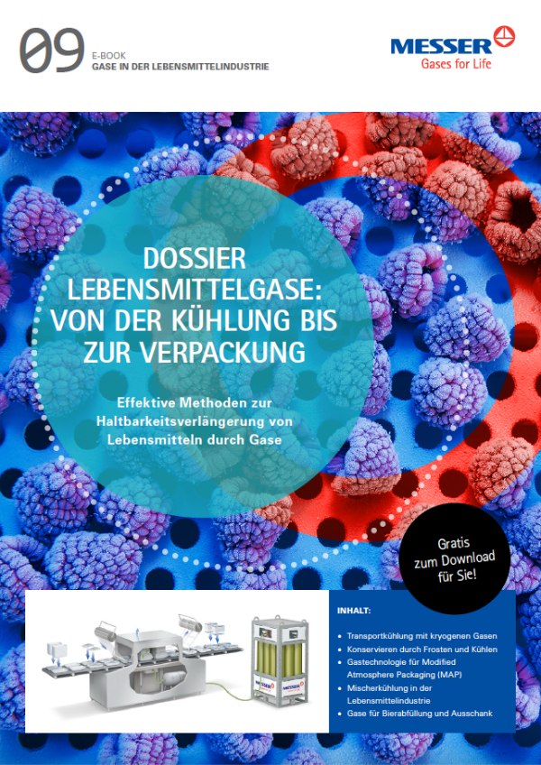 Messer Austria und B2IMPACT - E-Book - Lebensmittelgase