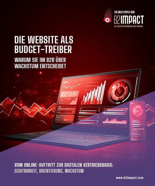 Whitepaper - Warum die Website im B2B zum Budget-Thema wird - Agentur B2IMPACT
